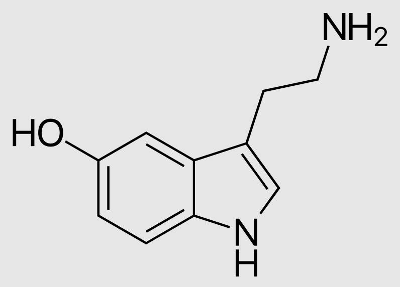 5-羥色胺（血清素）