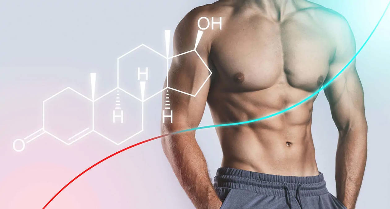 睪固酮對男性的影響，睪固酮的主要作用是什麼